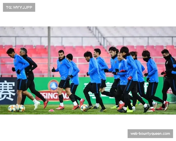 比赛因球迷向场内投掷网球中断十分钟，主裁出示黄牌警告主队